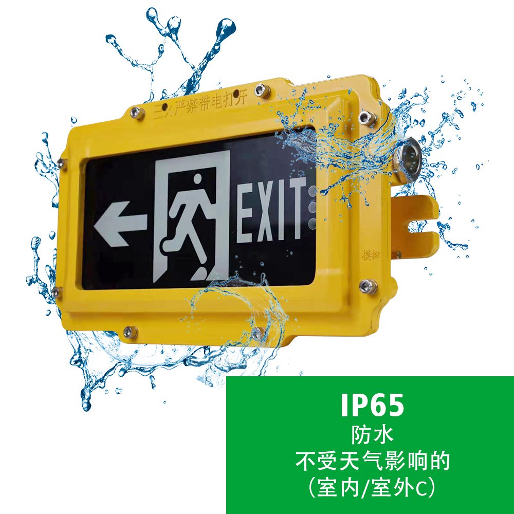 防爆应急照明5瓦LED防爆应急照明灯IP67输入电压AC220V - 深圳市比比尔